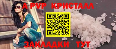 spice Кингисепп