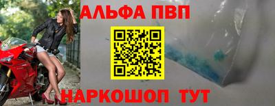 spice Кингисепп