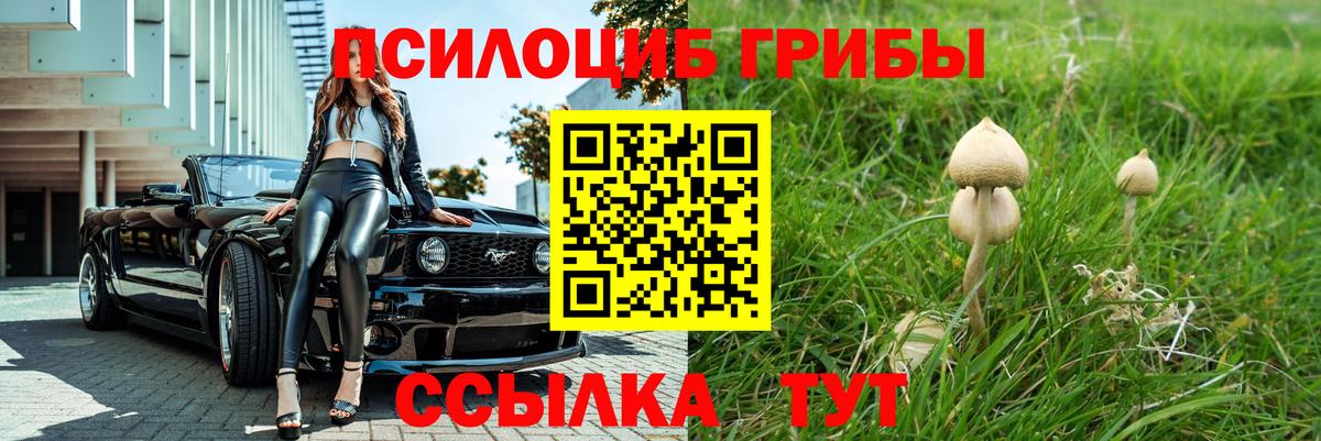 Галлюциногенные грибы Psilocybine cubensis Люберцы