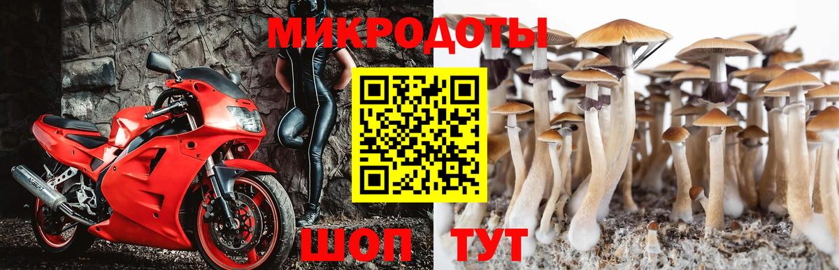 Псилоцибиновые грибы GOLDEN TEACHER  Псилоцибиновые грибы Psilocybe  Люберцы  Вход с VPN 
